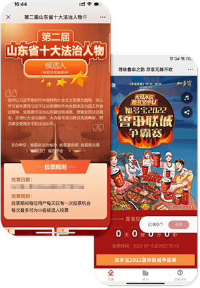 投票